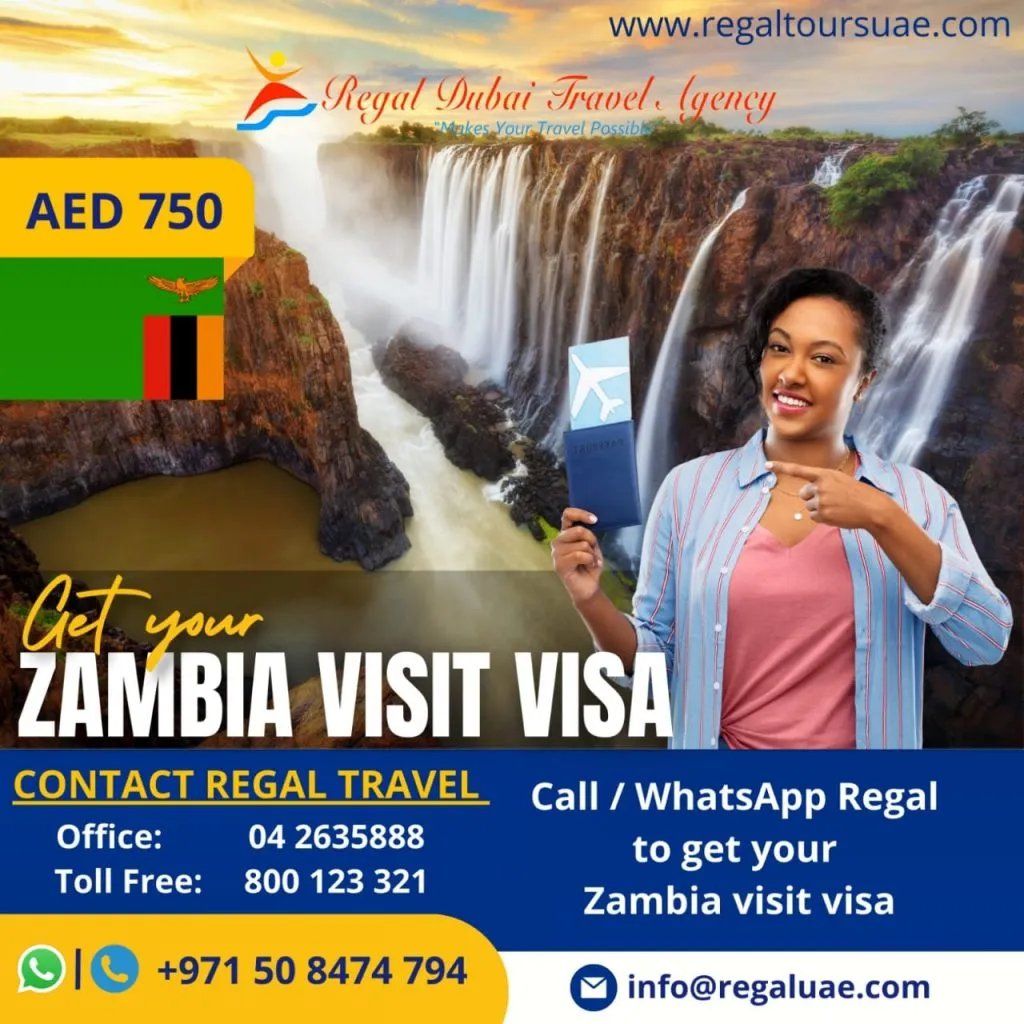 visit visa for zambia